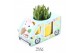 Arrangementen succulenten WOW Succulent, Mug and bunny1 pp 