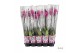 Phalaenopsis paars Phalaenopsis Paars - 1tak 80cm A2 6 bl. 1 tak/plnt 