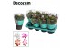 Schlumbergera mix QUATTROLORE - Decorum 70 bl. 