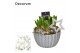 Arrangementen hyacinthus Hyacint Ribbel Schaal HL12192WP [BLACK & WHIT 