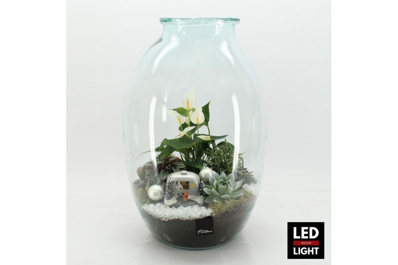 Arrangementen kerst XMAS-25317LED Kerst creatie terrarium 4 pp 
