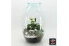 Arrangementen kerst XMAS-25317LED Kerst creatie terrarium 4 pp