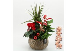 Arrangementen kerst XMASXL-2512 Kerst XL 4 pp