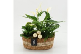 Arrangementen kerst XMASXL-2526 Kerst XL 3 pp