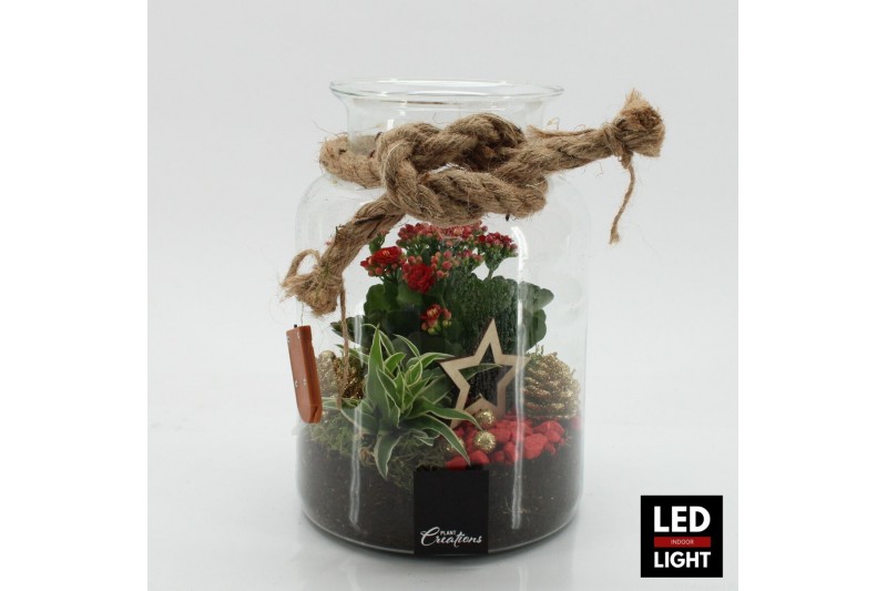 Arrangementen kerst XMAS-25212LED Kerst creatie terrarium 2 pp 