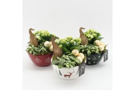 Arrangementen kerst XMAS-25022M Kerst creatie 2 pp