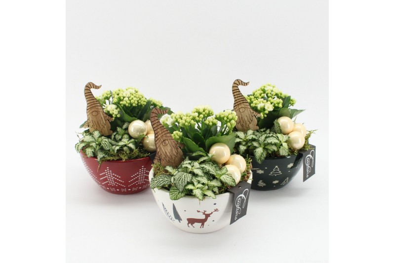 Arrangementen kerst XMAS-25022M Kerst creatie 2 pp 