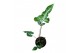 Alocasia Alocasia Teletubbies 1 pp 