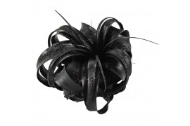 Tillandsia xerographica tillandsia xerographica zwart met glitter 1 bl