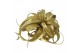 Tillandsia xerographica tillandsia xerographica goud met glitter 1 bl. 