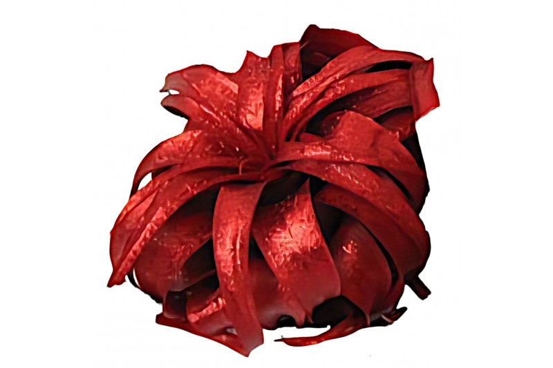 Tillandsia xerographica tillandsia xerographica rood met glitter 1 bl. 