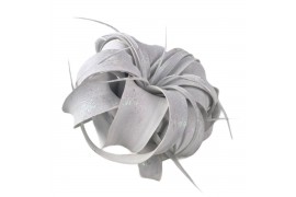 Tillandsia xerographica tillandsia xerographica wit met glitter 1 bl.