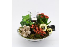 Arrangementen kerst ADV-2513RG Advent creatie 3 pp