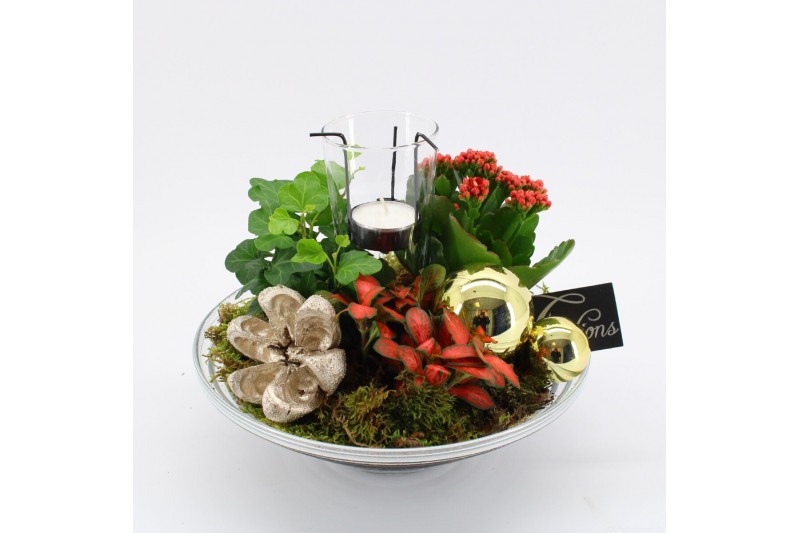 Arrangementen kerst ADV-2513RG Advent creatie 3 pp 