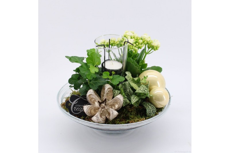 Arrangementen kerst ADV-2514WG Advent creatie 3 pp 