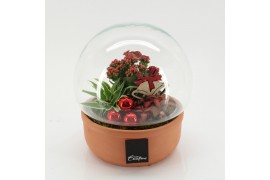 Arrangementen kerst XMAS-25262 Kerst creatie terrarium 3 pp