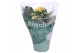 Kalanchoe rosalina geel Kalanchoe Rosalina 07cm Don Amarillo geelpp 