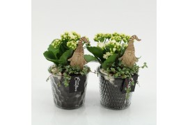 Arrangementen kerst XMAS-25201 Kerst creatie 2 pp