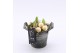 Arrangementen hyacinthus XHF-2522 Xmas Hyacint Fundamentals 1 pp 