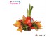 Hippeastrum gewaxt No Water Flowers Waxz® Autumn Wreath Orange2 tak/pl 