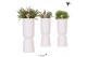 Rhipsalis mix Kolibri Greens Rhipsalis mix in Diabolo Falls pot white1 