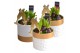 Arrangementen hyacinthus Hyacint Wit Goud Keramiek HL13222NY [NEW YEAR 