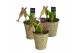 Arrangementen hyacinthus Hyacint Honingraat Zink HL13662NY [NEW YEAR]  