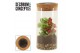 Arrangementen kamerplanten Terrarium Sirius medium incl Solarlight(Dec 