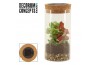Arrangementen kamerplanten Terrarium Sirius medium incl Solarlight(Dec