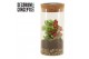 Arrangementen kamerplanten Terrarium Sirius medium incl Solarlight(Dec 