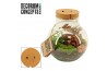 Arrangementen kamerplanten Terrarium Venus met oplaadbare led (Decorum