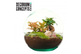 Arrangementen kamerplanten Terrarium Earth medium (Decorum concepts) o