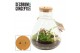 Arrangementen kamerplanten Terrarium Erlenmeyer large met oplaadbare l 