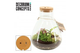 Arrangementen kamerplanten Terrarium Erlenmeyer large met oplaadbare l
