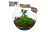 Arrangementen kamerplanten Terrarium Moon medium (Decorum concepts) 4 
