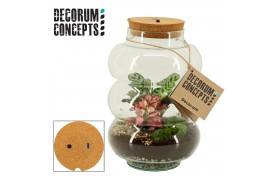 Arrangementen kamerplanten Terrarium Pluto medium met oplaadbare led (