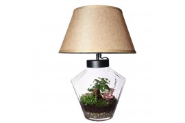Arrangementen kamerplanten Terrarium Victoria + lamp (Decorum concepts