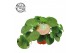 Pilea peperomioides Pilea Peperomioides 15cm Nederlands etiket 