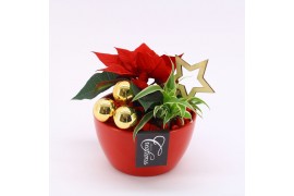 Arrangementen euphorbia pulcherrima POCR-2508 Poinsettia creatie 2 pp