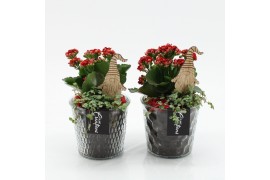 Arrangementen kerst XMAS-25200 Kerst creatie 2 pp