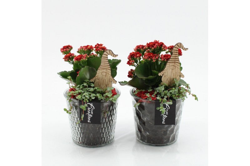 Arrangementen kerst XMAS-25200 Kerst creatie 2 pp 