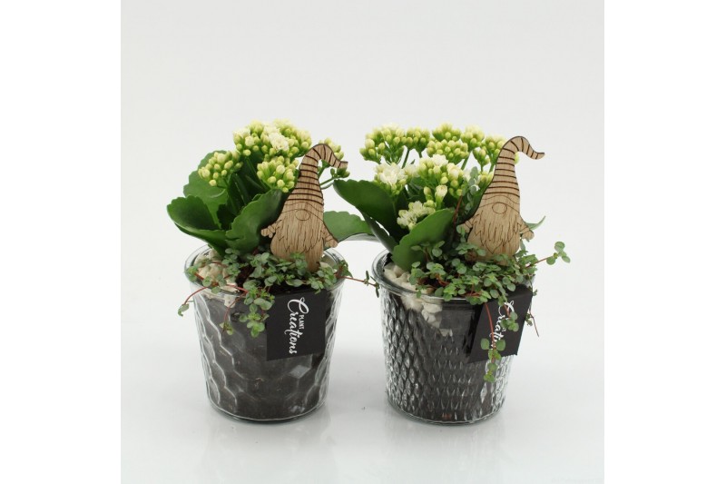 Arrangementen kerst XMAS-25201 Kerst creatie 2 pp 