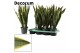 Sansevieria trifasciata laurentii Sansevieria Laurentii 14 cm (Decorum 