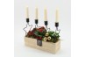 Arrangementen kerst ADV-2507R Advent creatie 3 pp