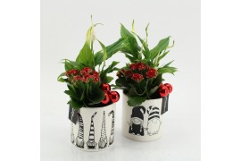 Arrangementen kerst XMAS-25276 Kerst creatie 2 pp