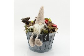 Arrangementen hippeastrum HICR-2533R Kerst Amaryllis 2 pp