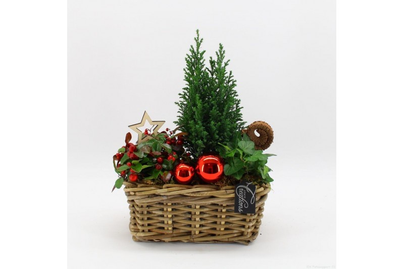 Arrangementen gaultheria GACR-2513 Gaultheria creatie 3 pp 