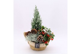 Arrangementen gaultheria GACR-2522 Gaultheria creatie 3 pp