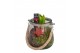 Arrangementen hyacinthus Hyacint Glas met Touw HL13806WP [COZY] 1 pp 3 