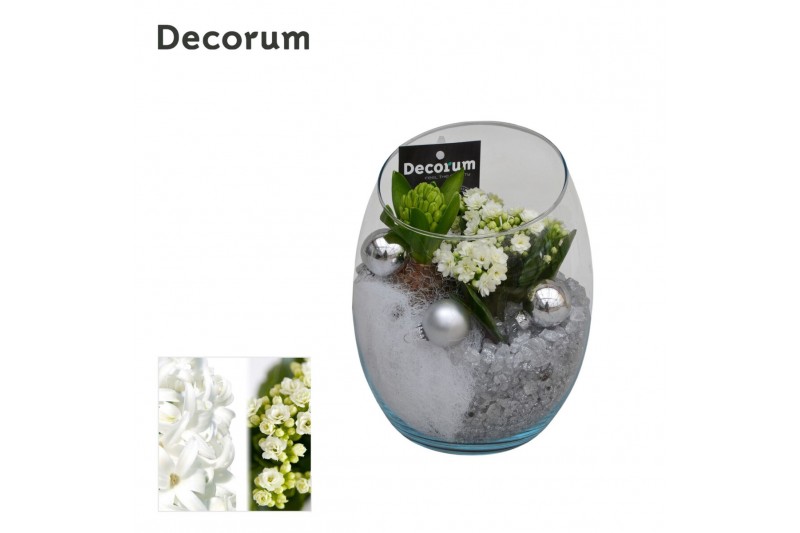 Arrangementen kerst Calandiva & Hyacint Oblique HL21172WP [BLACK & WHI 